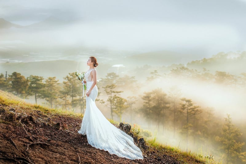 Fairy Light Backdrops